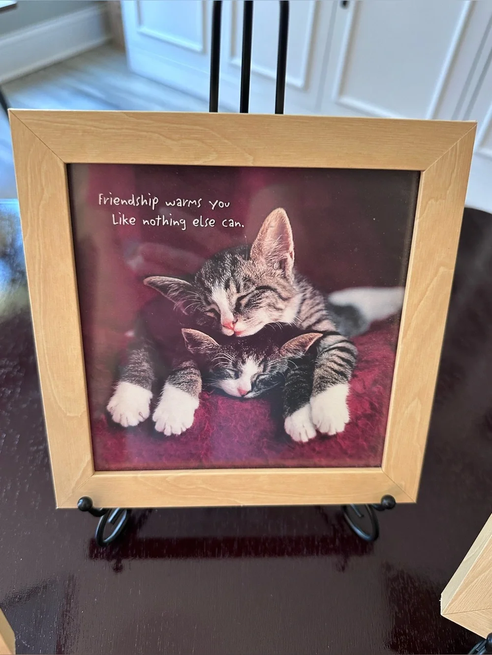 Portal Set of 3 Framed Kitten Prints Cozy Places Friendship Purrfect Fit